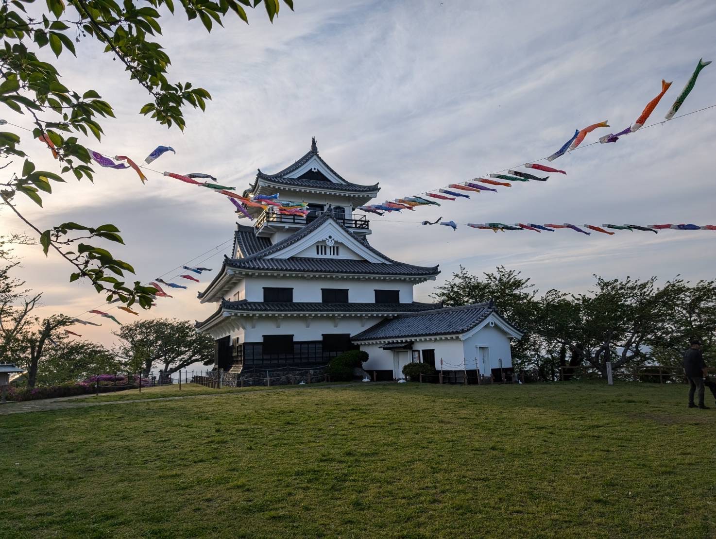 館山城が見守る、海と花に彩られた街